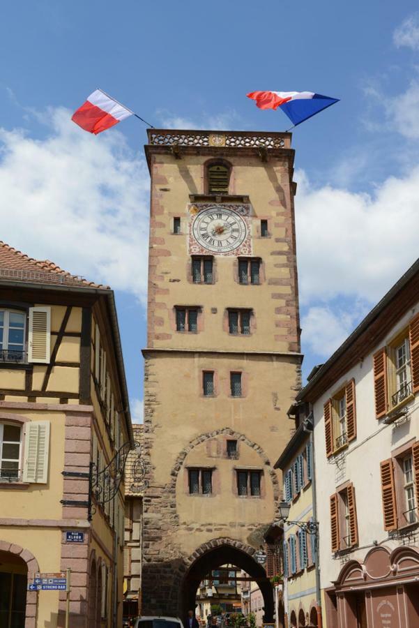 Ribeauville City Center - Gite Des Menetriers, Les Vieilles Vignes - Luaran gambar