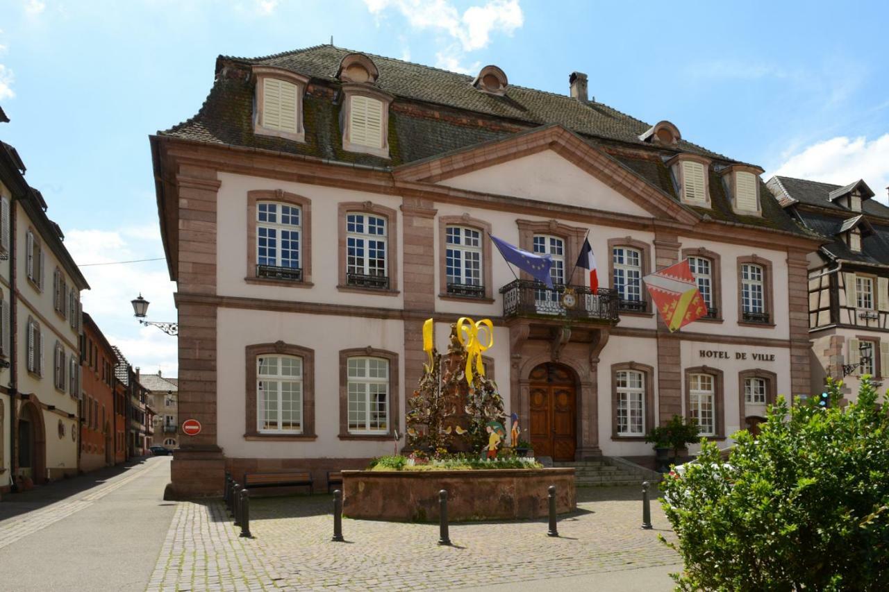 Ribeauville City Center - Gite Des Menetriers, Les Vieilles Vignes - Luaran gambar